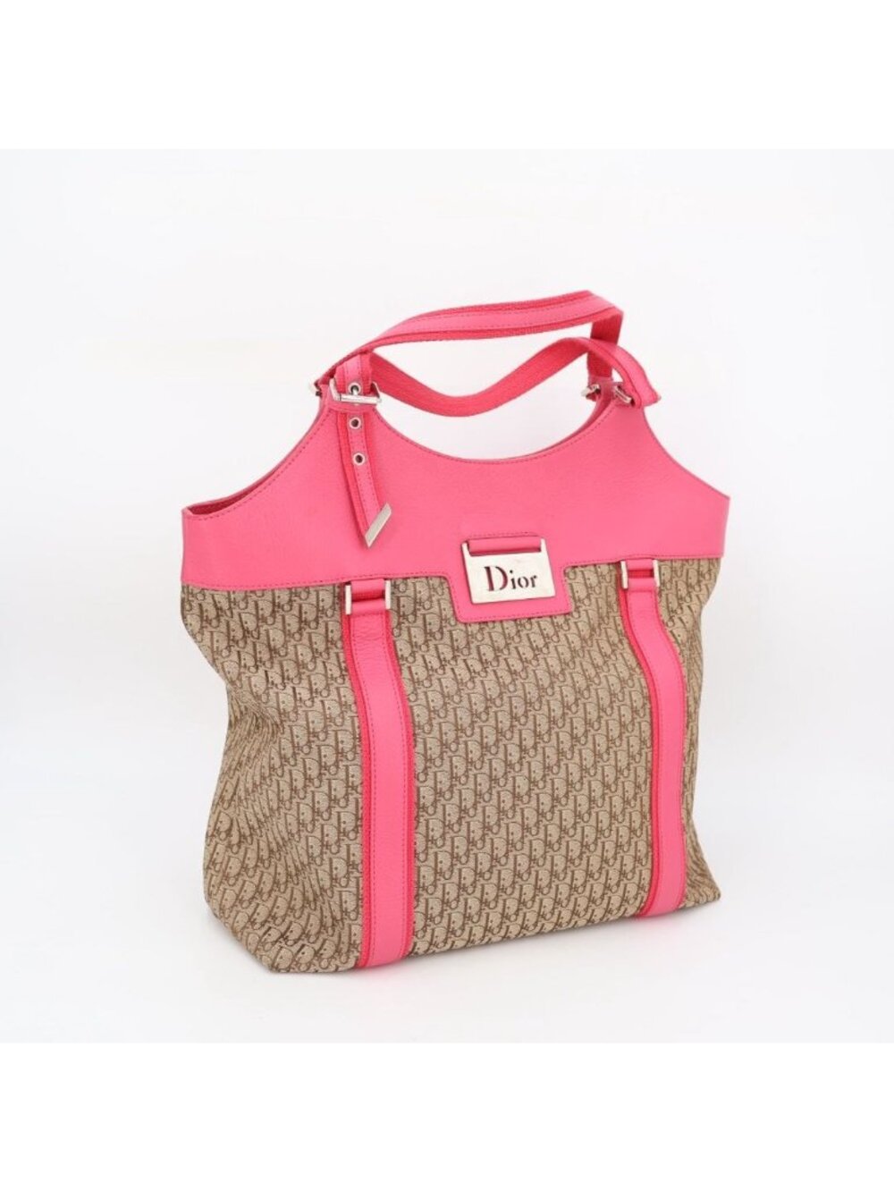 Dior Handbag Trotter Logo Plate Cotton Canvas